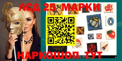 мдма Сланцы