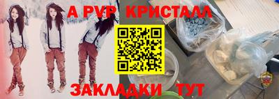 apvp Славгород
