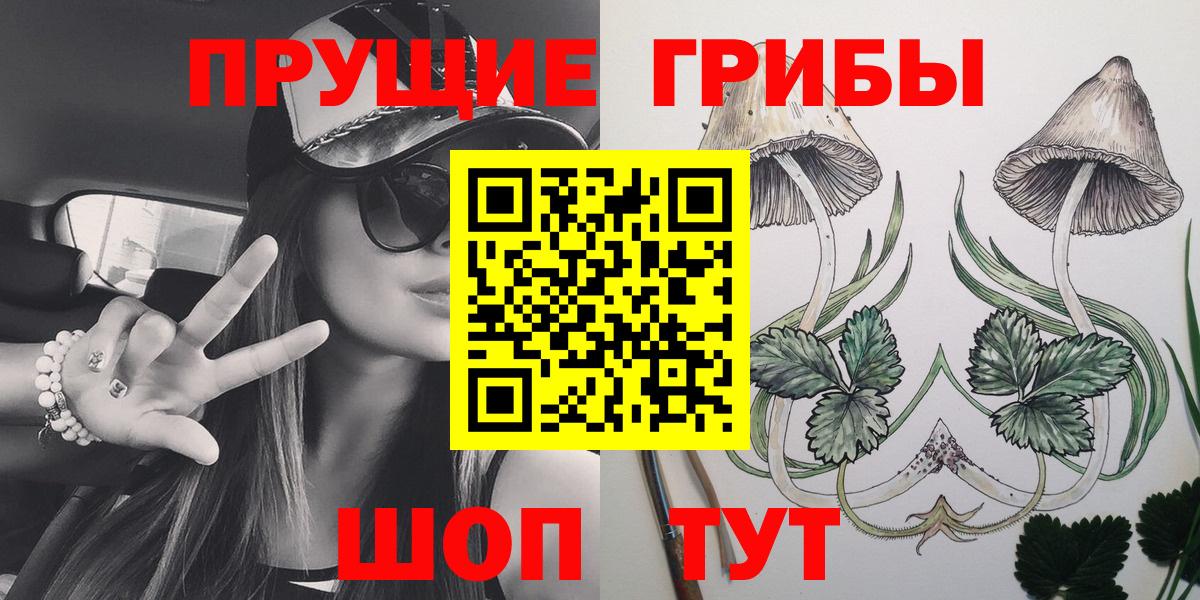 Псилоцибиновые грибы GOLDEN TEACHER  Вход с VPN  Псилоцибиновые грибы Psilocybine cubensis  Севастополь 