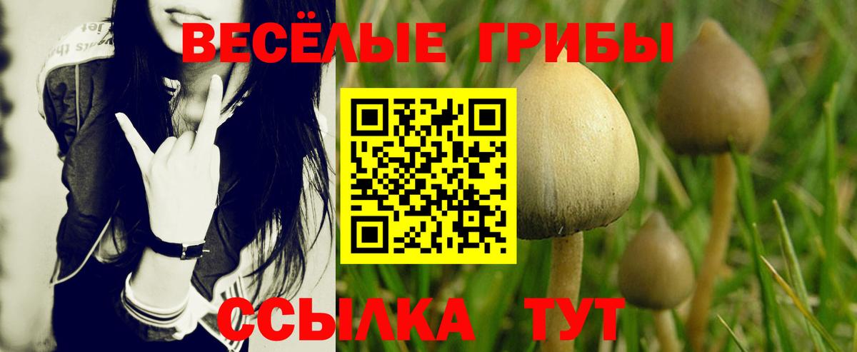 Псилоцибиновые грибы мицелий Севастополь